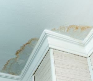 ceiling water marks from roof leaks